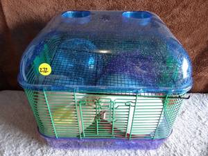 lot 272 image: LARGE COLLECTION OF HAMSTERGERBIL FUNHOUSE - EVERYTHING YOU NEED FOR YOUR NEW PETS HOME