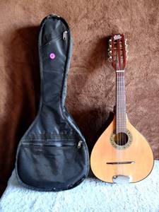 lot 4 image: BEAUTIFUL GILB MANDOLIN IN VG CONDITION WITH GIG BAG