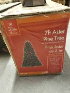lot 364 image: Christmas trees