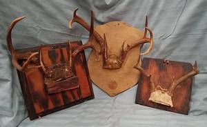 lot 95 image: 3 Sets of Mounted Deer Antlers