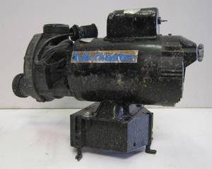 lot 124 image: Tubmaster Aquaflow Model # TMC-1000A Pump