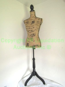 lot 5 image: Torso mannequin full size on display stand