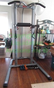 lot 280 image: Bowflex body tower fitness system and Pro-form dumbells