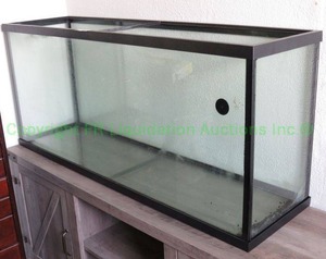 lot 289 image: Large fish tank approx. 40 gallons