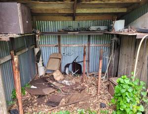 lot 152 image: All Contents Of Shed as shown.