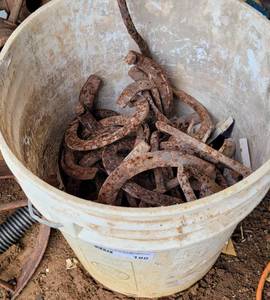 lot 188 image: Plastic bucket with horseshoes as shown.
