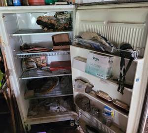lot 221 image: Vintage Frigidaire Freezer With Contents as shown.