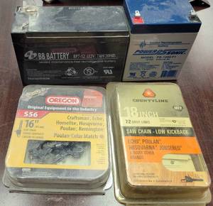 lot 396 image: SAW CHAINS PLUS BATTERIES AS SHOWN.