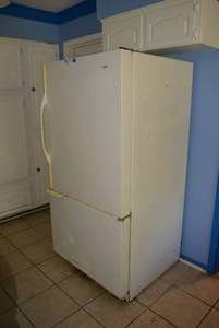 lot 17 image: Kenmore Refrigerator from Sears, Model 596.67272790, Needs Cleaning