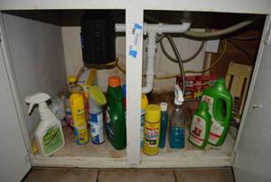 lot 13 image: Cleaning Supplies as shown