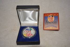 lot 534 image: American Eagle Silver Dollar in Full Color