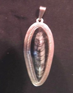 lot 146 image: Sterling Fossil