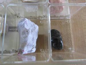 lot 141 image: Clear case of stone slices