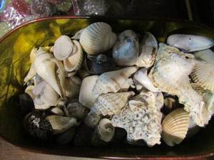 lot 352 image: Red and yellow tins full of shells