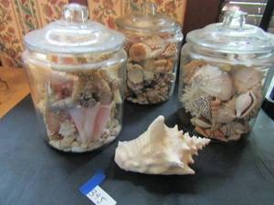 lot 395 image: 3 large glass containers lids  full of shells plus Conch shell (BID X JAR)