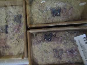 lot 849 image: 3 new candle scaping kits each includes 6 butterflies and rocks