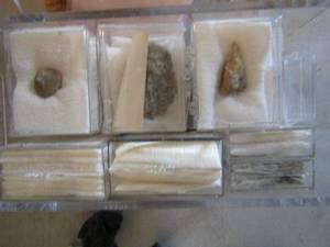 lot 870 image: 16 small cases of fossils and crystals