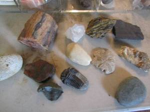 lot 873 image: Assorted crystal, petrified wood, clear quartz, tourmaline fossil and more