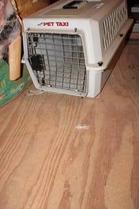 lot 479 image: Small animalt travel taxi in Attic needs taken down