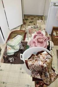 lot 217 image: Doormats and Rugs