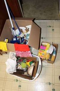 lot 155 image: Cleaners, Brushes and Mop