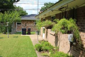 lot 401 image: Hanging Plants
