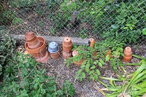 lot 391 image: Terra Cotta Pots as shown