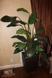 lot 181 image: 6 Foot Artificial Palm Tree in Large Planter