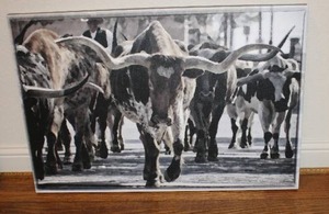 lot 340 image: Longhorn Walking Wall Art Wrapped Canvas Print