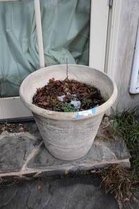 lot 576 image: Large Ceramic Planters, 3 Total