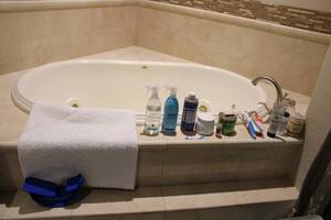 lot 229 image: Bath Rug, Bath Products, Cleaners and squeegie, see pictures