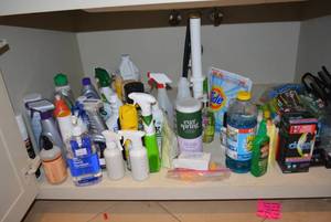 lot 255 image: Misc. Cleaning Supplies