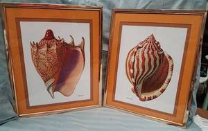 lot 305 image: 2 Framed & Matted Petropoulos Conch Shell Prints