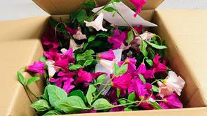 lot 264 image: Box of Floral Arrangement