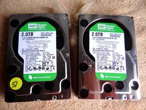 lot 51 image: WESTERN DIGITAL 2TB HARD DRIVES (X2)