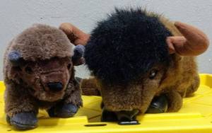 lot 206 image: Two Plush Buffalos (One Money)