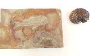 lot 143 image: Other