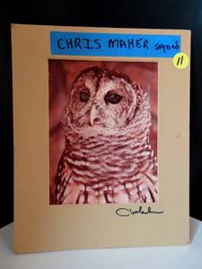 lot 11 image: ORIGINAL SIGNED CHRIS MAHER 8 X 10 OWL PRINT - STUNNING