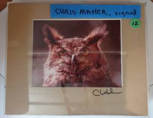 lot 12 image: ANOTHER GRAT CHRIS MAHER SIGNED 8 X 10 OWL PHOTOGRAPH