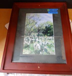 lot 39 image: AARON BROTHERS CUSTOM FRAMED OUTDOOR PHOTOGRAPH - MEASURES 21 X 25