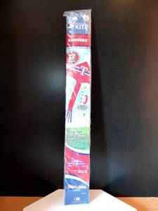 lot 113 image: 50 X 80 TEXAS RANGERS MLB LICENSED FLYING KITE - NIP