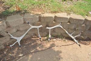 lot 235 image: 2 Antler Racks (Approx. 3 Ft. Each)