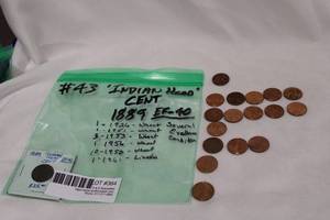 lot 364 image: Indian Head Cent 1889 EF-40 (1 Folder Total), Plus Wheat Pennies (17 Loose Total), see pictures