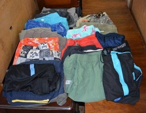lot 215 image: Mens Swim Trunks and Shorts, Generous amount, see pictures