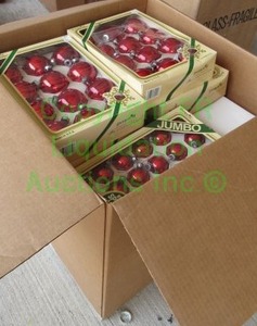 lot 289 image: Pyramid decorative jumbo Christmas ornaments, 1 case full