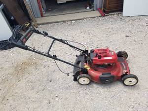 lot 219 image: lawn mower