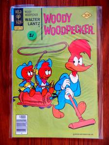 lot 21 image: VINTAGE Woody Woodpecker #160 Gold Key VF Comics Book - $$