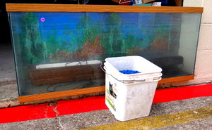 lot 238 image: LARGE FISH TANK WITH WORKING LIGHTS (X2), FILTER, AND WASHED GRAVEL