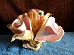 lot 275 image: BEAUTIFUL HAND CARVED CONCH SHELL IN ORNATE FLORAL DESIGN