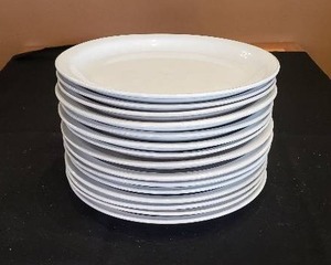 lot 320 image: Lot of 15 TodaysHome 10.5 Dinner Plates
